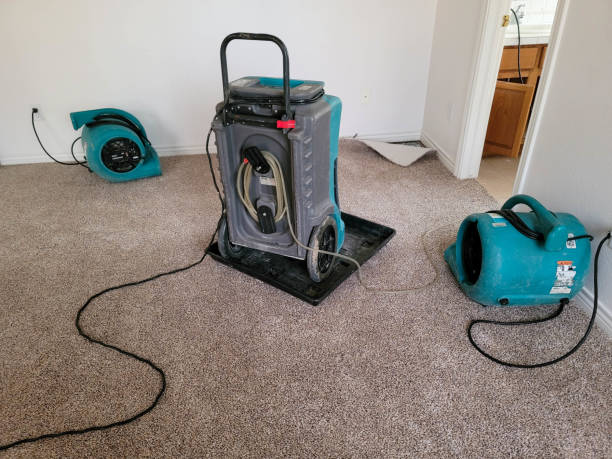 Best Water damage cleanup near me  in Fmington, AR