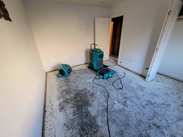 Best Commercial water damage restoration  in Fmington, AR