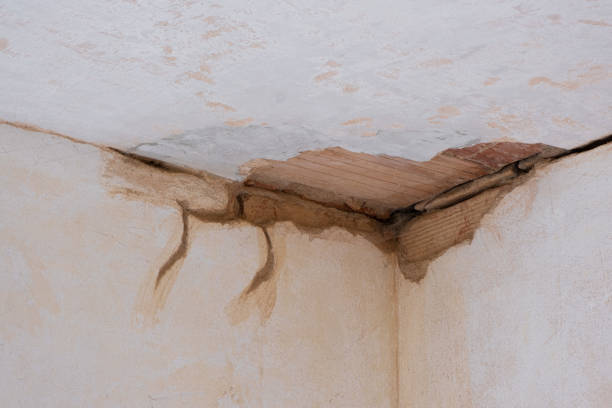 Best Flood restoration services  in Fmington, AR