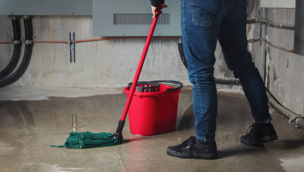 Best Fire Damage Restoration  in Fmington, AR