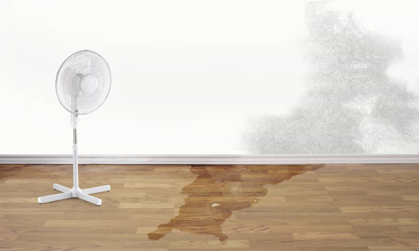  Fmington, AR Water damage restoration Pros