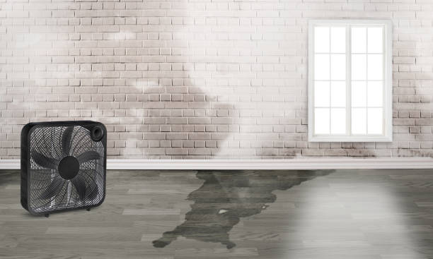 Farmington, AR Water damage restoration Company