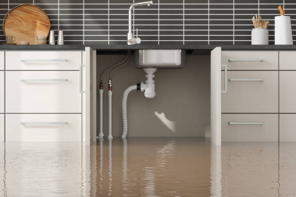 Best 24-hour water damage restoration  in Fmington, AR